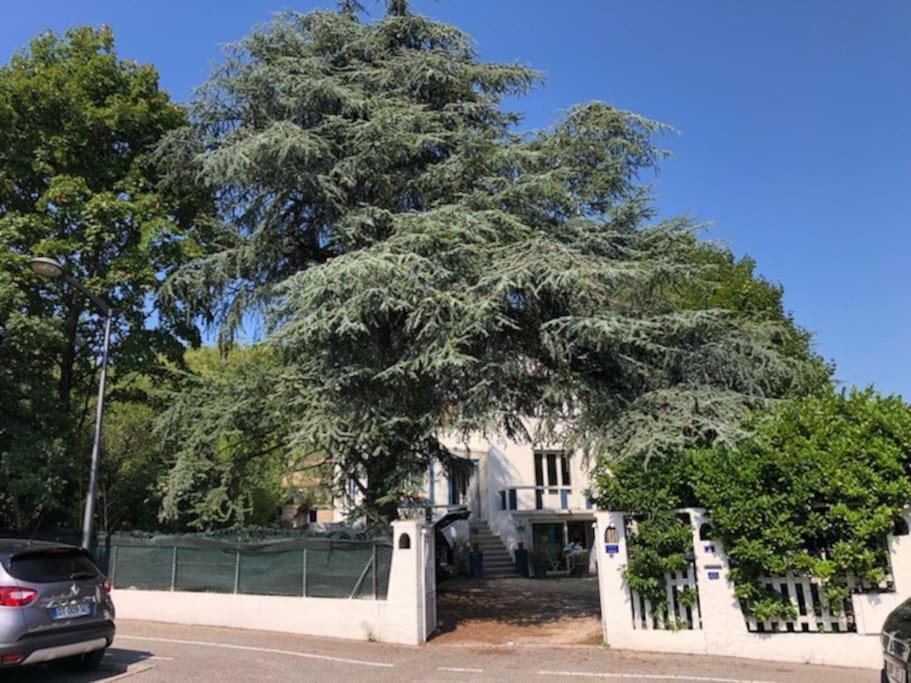 Villa Les Terrasses: Nature Retreat with Pool Near Lyon Oullins Exterior photo